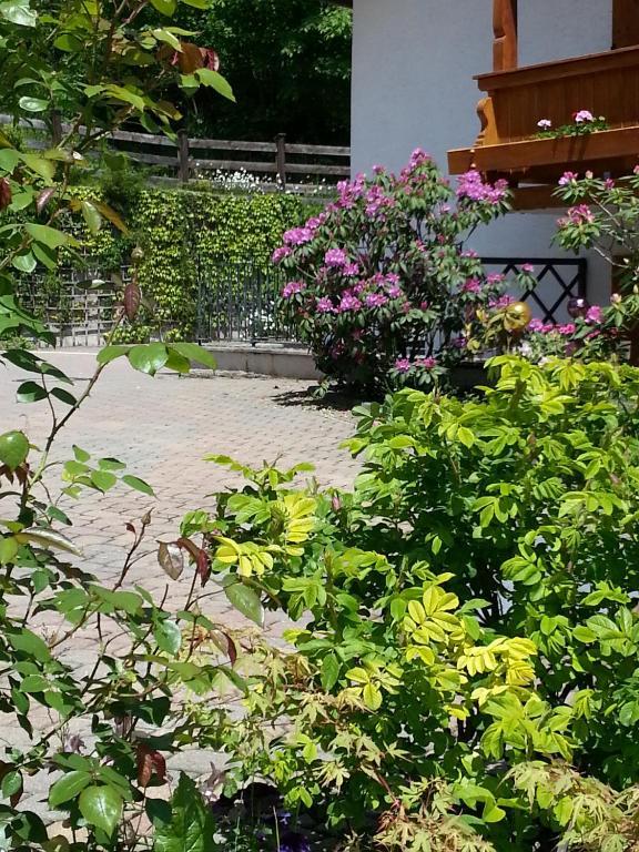 Tourist Boehm Hotel 3*